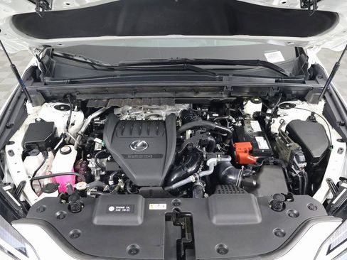 Certified 2024 Lexus NX 350 AWD w/ Cold Area Package image 15