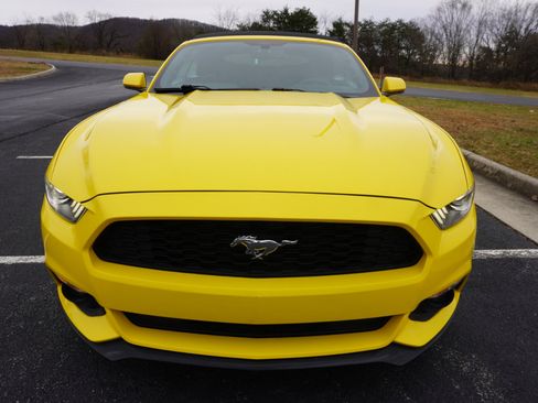 Used 2015 Ford Mustang Convertible w/ Equipment Group 051A image 3