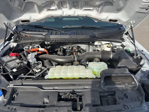 New 2025 Ford F150 XL w/ Equipment Group 104A Hybrid image 33