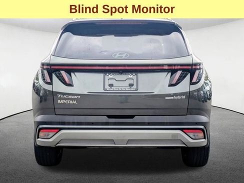 Used 2025 Hyundai Tucson Limited AWD/4WD image 6