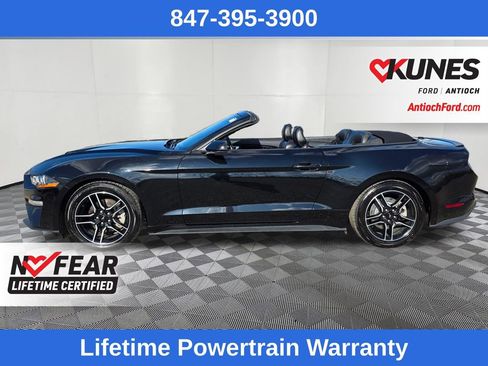 Certified 2022 Ford Mustang Premium image 4