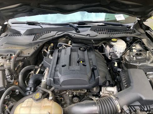 Used 2019 Ford Mustang Premium w/ Equipment Group 201A RWD image 26