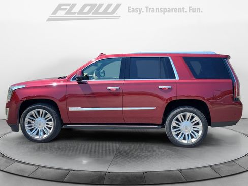 Used 2019 Cadillac Escalade Platinum AWD/4WD image 5