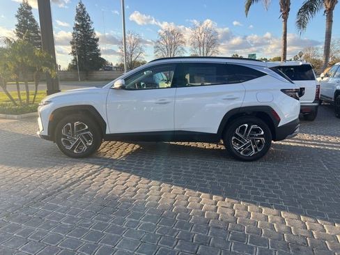 New 2026 Hyundai Tucson Limited image 5