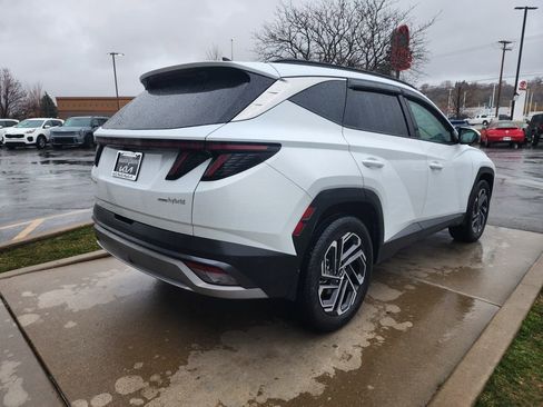 Used 2025 Hyundai Tucson Limited image 5