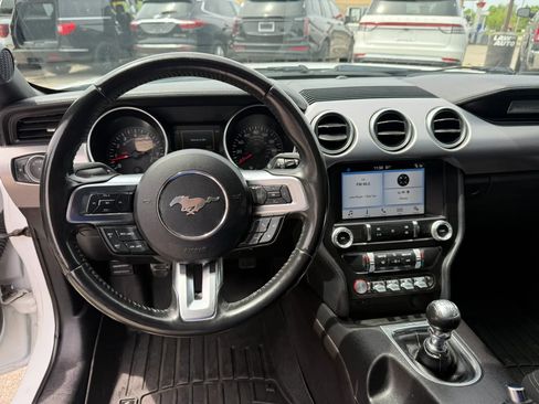 Used 2019 Ford Mustang GT w/ Equipment Group 301A RWD image 18