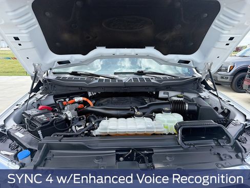 Used 2021 Ford F150 XLT w/ Equipment Group 302A High AWD/4WD image 35