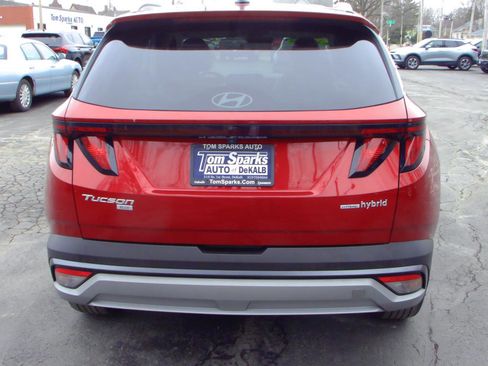 Used 2025 Hyundai Tucson Blue AWD/4WD image 26