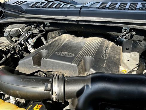 Used 2019 Ford F150 XLT w/ Equipment Group 302A Luxury AWD/4WD image 32