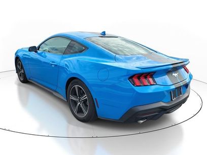 Used 2025 Ford Mustang Premium