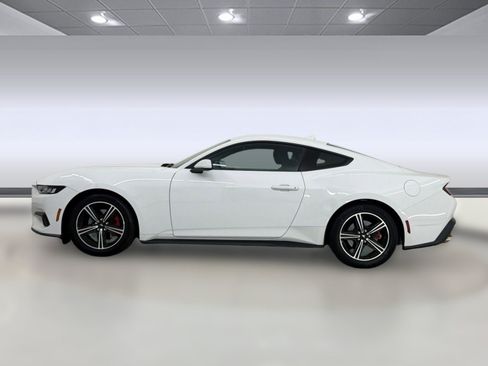 Used 2024 Ford Mustang Coupe RWD image 2