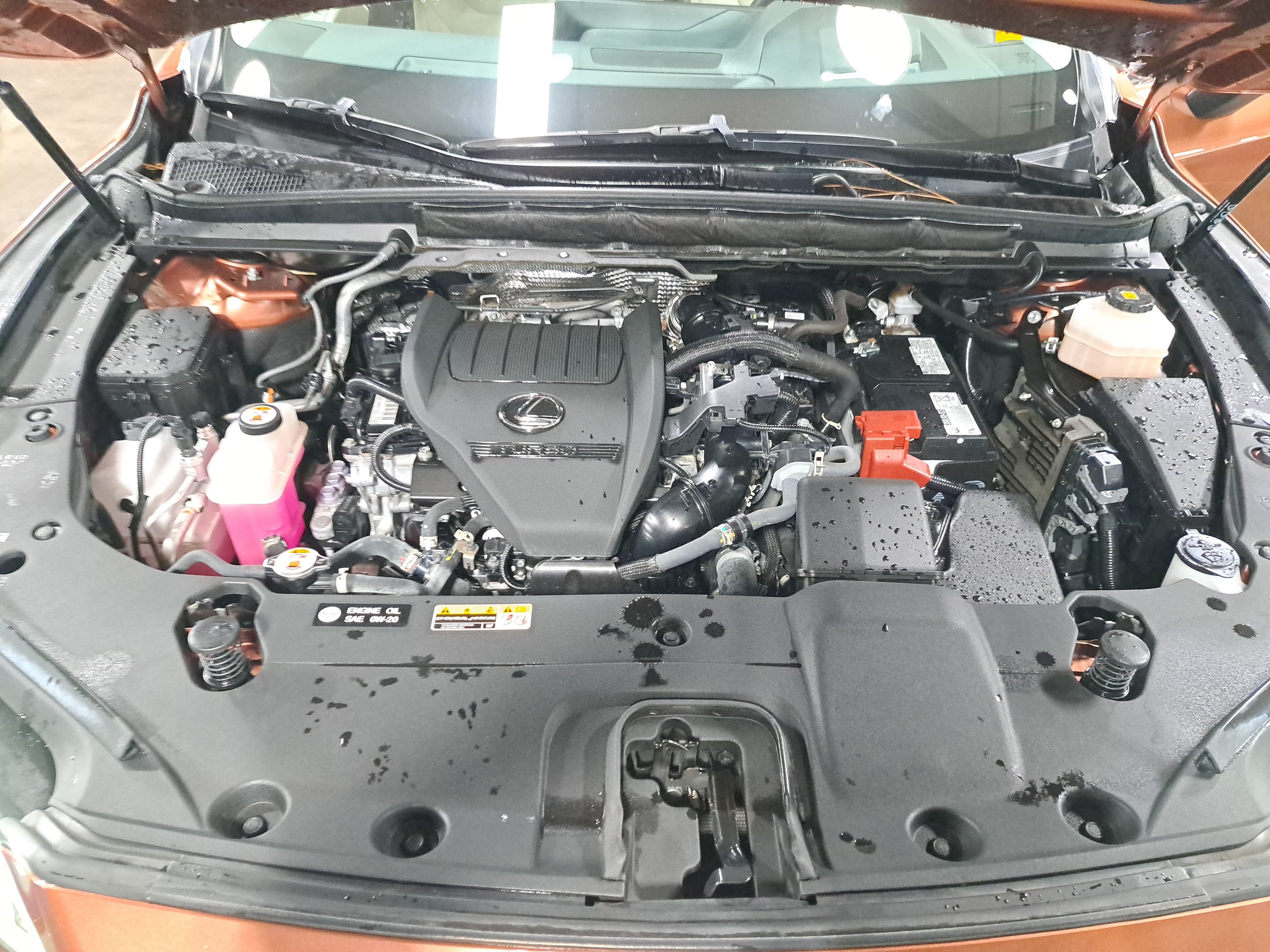 Used 2024 Lexus RX 350 FWD w/ Convenience Package image 31