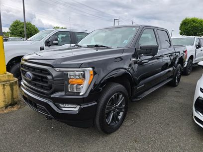 Used 2023 Ford F150 XLT w/ Equipment Group 302A High