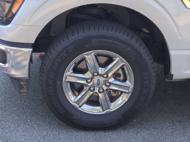 Used 2025 Ford F150 XLT w/ Equipment Group 301A Standard AWD/4WD image 10