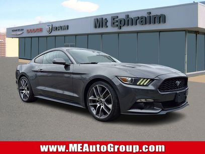 Used 2015 Ford Mustang Premium w/ Equipment Group 201A