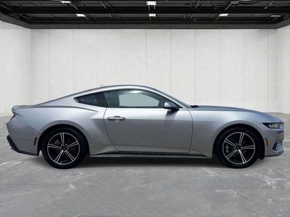 Used 2024 Ford Mustang Premium