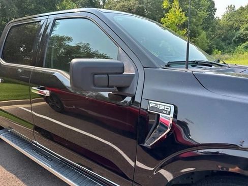 Used 2025 Ford F150 XLT w/ Equipment Group 301A Standard RWD image 6