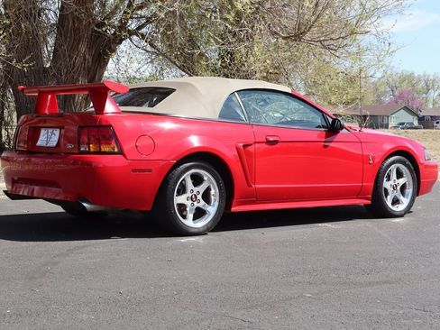 Used 1999 Ford Mustang Cobra image 5