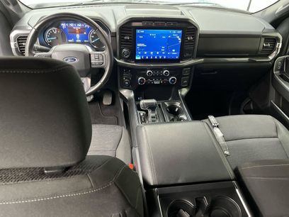 Certified 2023 Ford F150 XLT w/ Equipment Group 302A High