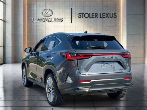 Used 2025 Lexus NX 350 AWD w/ Cold Area Package image 7
