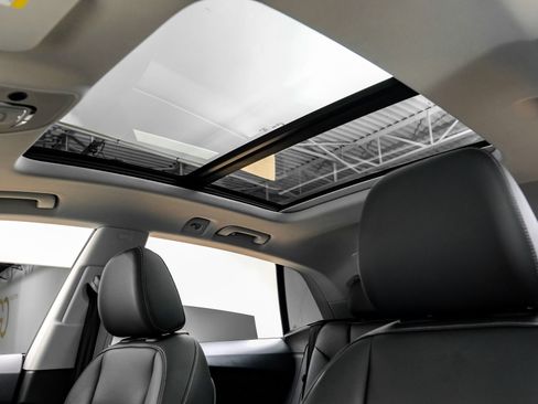 Used 2023 Audi Q8 Premium Plus w/ Premium Plus Package image 5