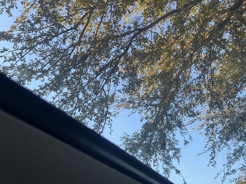 Used 2021 Hyundai Elantra Limited image 11