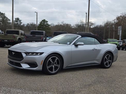 Used 2024 Ford Mustang Premium image 1