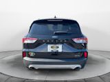 Certified 2022 Ford Escape SEL image 4
