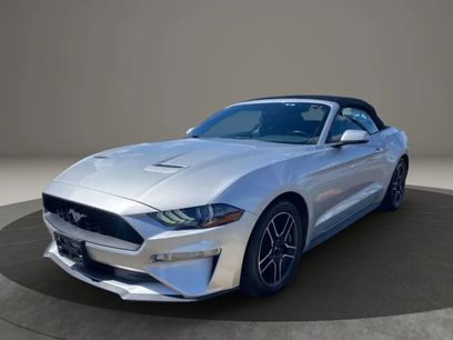 Used 2019 Ford Mustang Premium