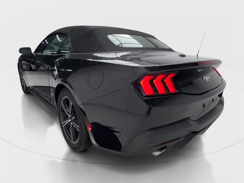 Used 2025 Ford Mustang Convertible RWD image 11