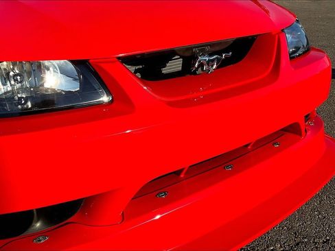 Used 2000 Ford Mustang Cobra RWD image 23