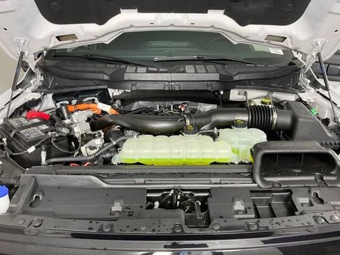 New 2025 Ford F150 XLT w/ Equipment Group 302A MID image 9