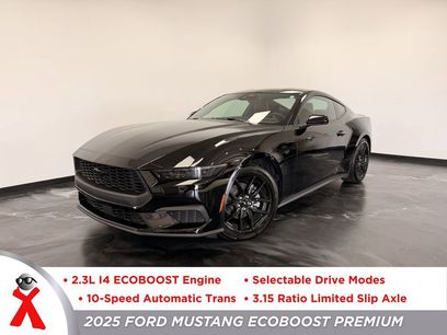 Used 2025 Ford Mustang Premium w/ Mustang Nite Pony Package
