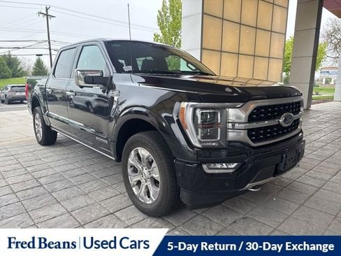 Used 2023 Ford F150 Platinum w/ Equipment Group 701A High AWD/4WD image 1