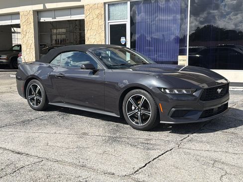 Used 2024 Ford Mustang Premium RWD image 12