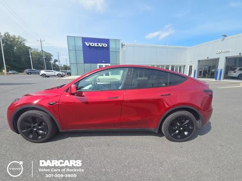 Used 2024 Tesla Model Y Long Range AWD/4WD image 1