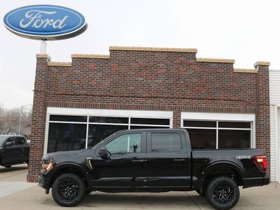 New 2025 Ford F150 STX