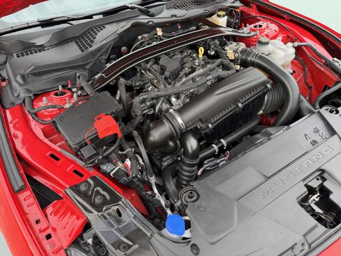 Used 2025 Ford Mustang Premium image 13