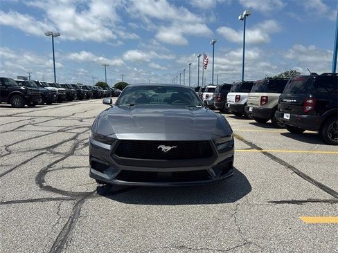 New 2025 Ford Mustang EcoBoost image 11