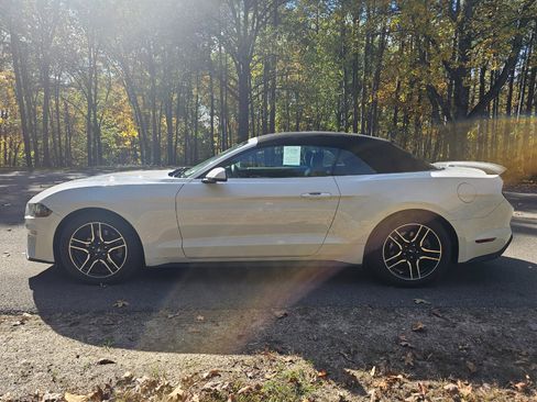 Used 2018 Ford Mustang Premium image 10