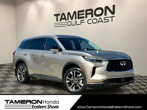 Used 2023 INFINITI QX60 Luxe w/ Cargo Package image 1