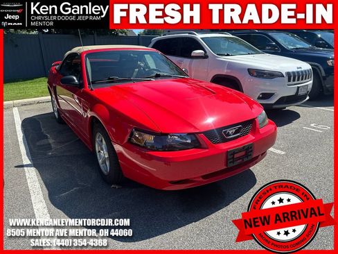 Used 2003 Ford Mustang Convertible RWD image 1