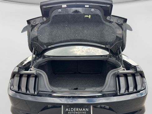 Used 2019 Ford Mustang GT w/ Black Accent Package RWD image 19