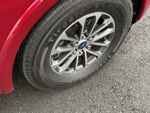 Used 2019 Ford F150 XLT w/ Equipment Group 302A Luxury image 12