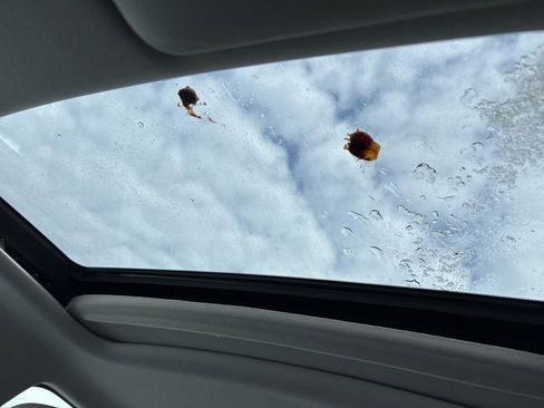 Used 2014 Honda Civic EX-L image 4