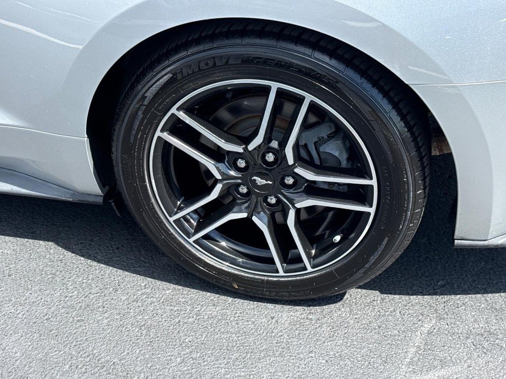 Used 2019 Ford Mustang GT Premium w/ Equipment Group 401A RWD image 7