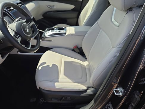 Used 2024 Hyundai Tucson Limited image 5