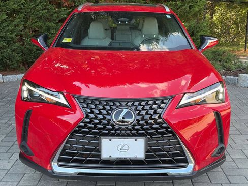 Used 2025 Lexus UX 300h AWD w/ Cold Area Package image 2