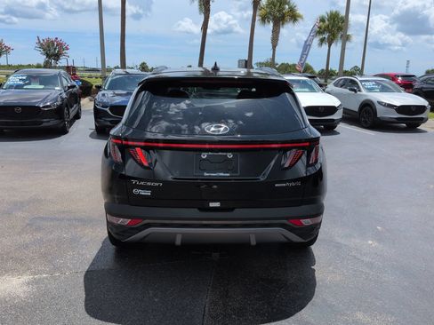 Used 2024 Hyundai Tucson Limited AWD/4WD image 5