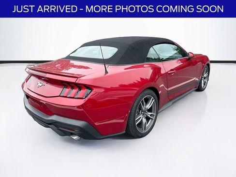 Used 2024 Ford Mustang Premium RWD image 8